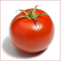 tomate